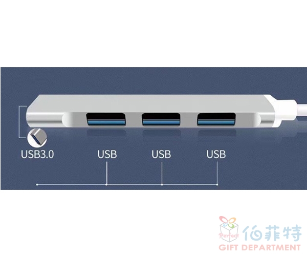二合一 USB 擴充集線器