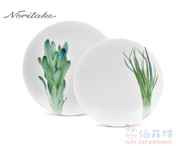 日本Noritake 京香旬彩2入(青蔥/野芥菜)圓盤27cm